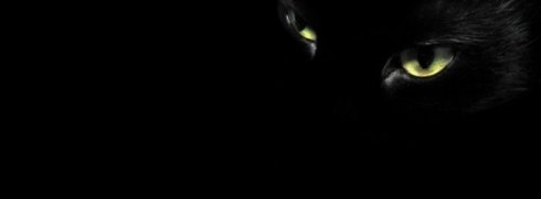 ojos gato negro